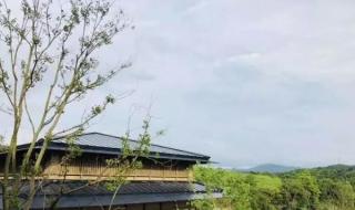 皂幕山森林公园 皂幕山森林公园