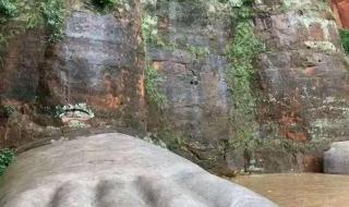 四川的乐山大佛 四川的乐山大佛