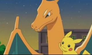 小宠物对战 小宠物对战