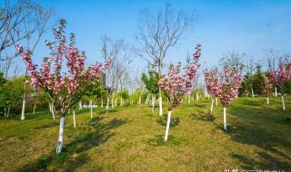 漯河医专新校区 漯河医专新校区